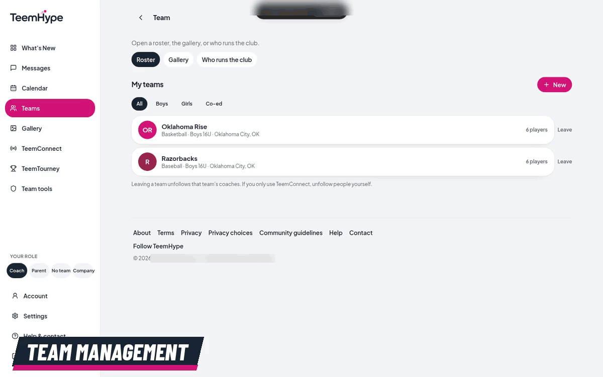 A quick desktop tour of the TeemHype app: team management, what's new, schedule, TeemConnect, marketplace, and TeemTourney
